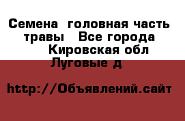 Семена (головная часть))) травы - Все города  »    . Кировская обл.,Луговые д.